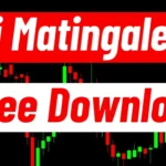 Forex Anti Martingale EA for MT4